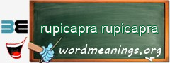 WordMeaning blackboard for rupicapra rupicapra